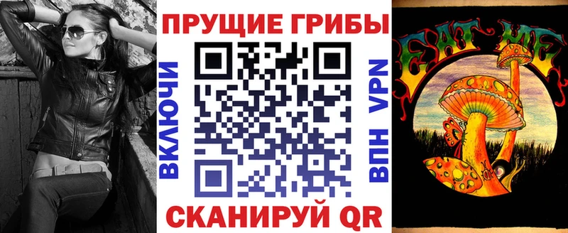 Псилоцибиновые грибы Psilocybe  наркота  Новокубанск 